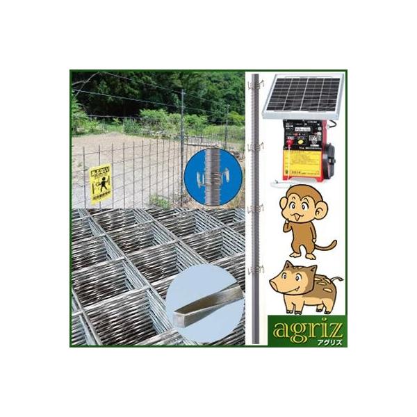 O[h Tp \[[dC pS_ 400m tFX1m Zbg i{́Fdq Qb^[G[X3\[[j