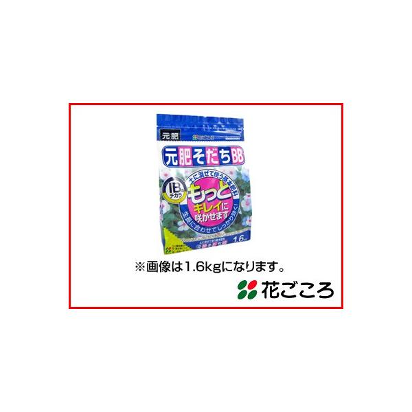 Ԃ yɍĎg{엿 삻BB 320g x 30Zbg ɐGĂSȏIB엿 4Ԃƌ