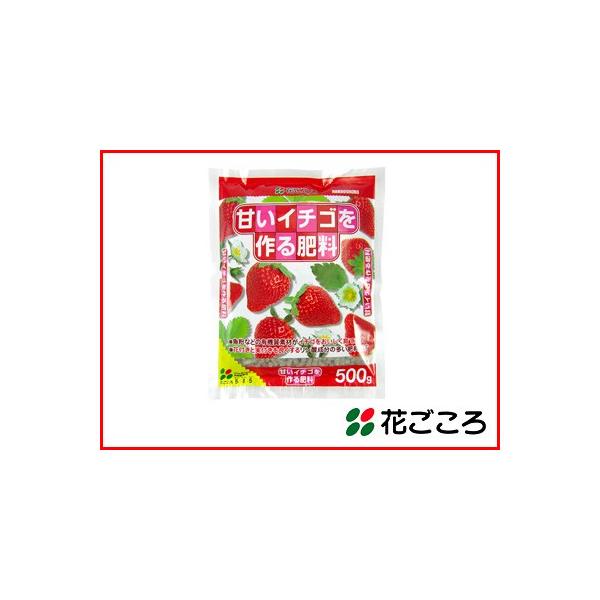 Ԃ ǔЂƂ ÂC`S엿 500g x 40Zbg _ԕtƎtǂ܂ ₷ybg