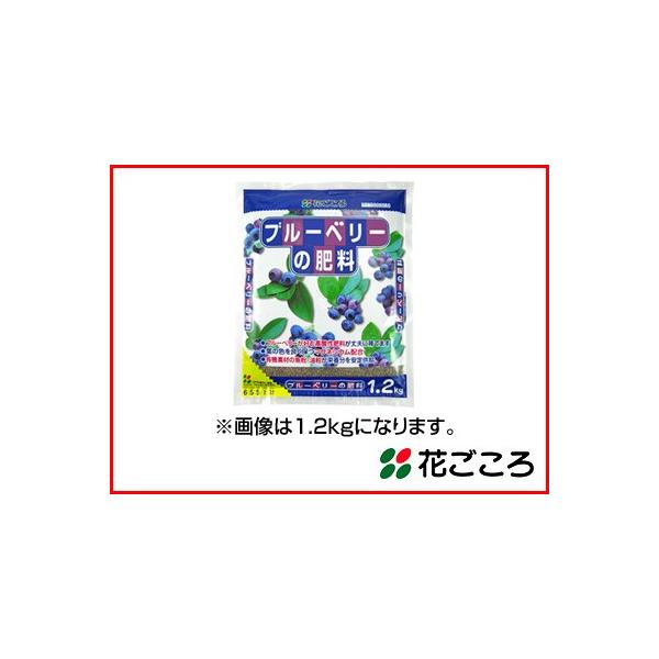 Ԃ u[x[̔엿 500g x 40Zbg pH_ɒ L@fނ̋h{苟 }OlVEz