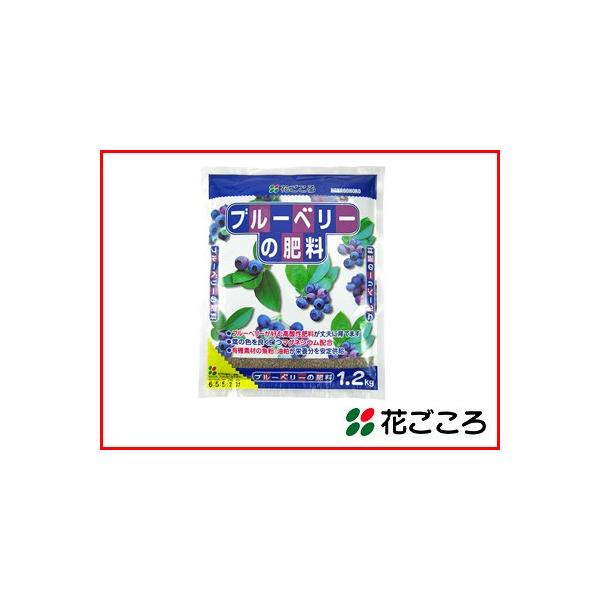 Ԃ u[x[̔엿 1.2kg x 16Zbg pH_ɒ L@fނ̋h{苟 }OlVEz