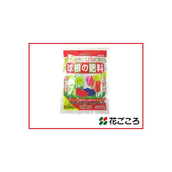 Ԃ XNbƐLтăpbƍ炭 ̔엿 400g x 50Zbg A~m_r^~܂ޗǎȗL@엿 _ԕtǂ