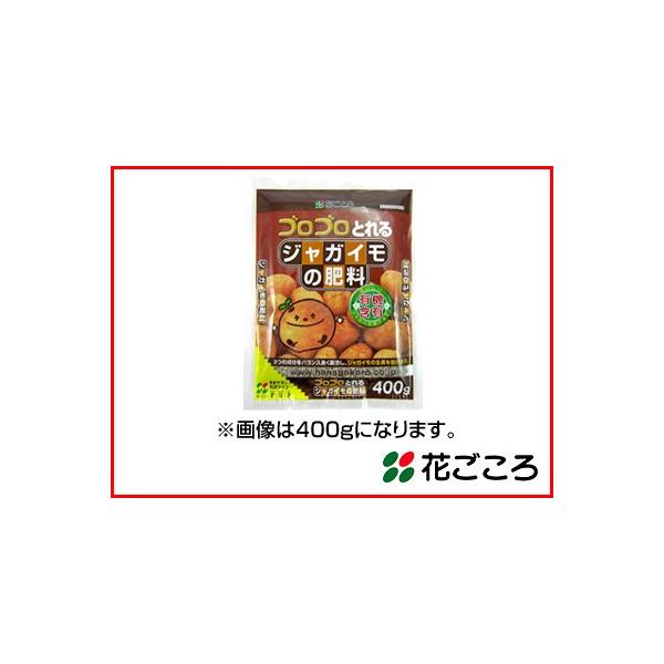 �Ԃ����� �W���K�C���̔엿 1.6kg 12�Z�b�g