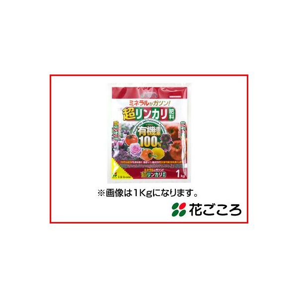 Ԃ ~lKcI J엿 500g x 40Zbg L@R100̌ ԕttǂ郊_𑽂܂݂܂