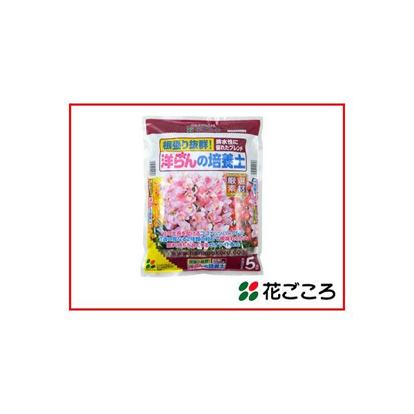 Ԃ 蔲Q m̔|{y 5L x 8Zbg ̐RRibcnXNz 엿ǂ[ICgz