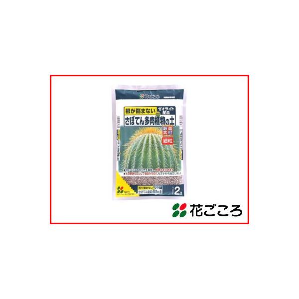 Ԃ ܂Ȃ[ICgz ڂĂ񑽓A̓y iחj 2L x 20Zbg ۔͂̂o[~LCgz