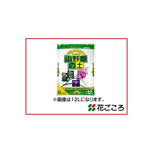 Ԃ R쑐̓y 3L x 16Zbg LCȐo鐅̕sh~[ICgz ̌gpr̗ǂz