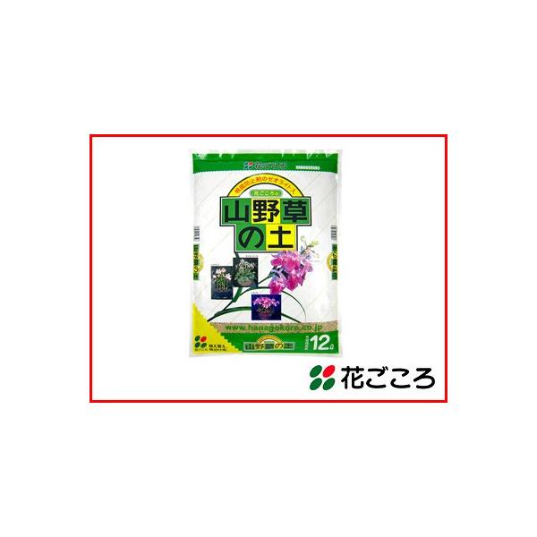 Ԃ R쑐̓y 12L x 4Zbg LCȐo鐅̕sh~[ICgz ̌gpr̗ǂz