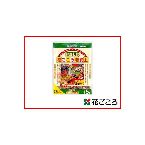 Ԃ Ԃ؂ɂł IL@ Ԃ|{y 5L x 8Zbg n͂߂abR|z yǌʂƔ엿