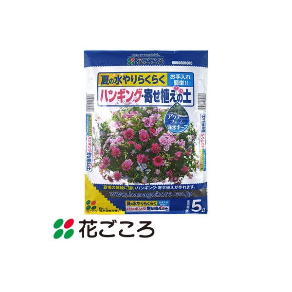 Ԃ Ă̐胉NN ȒP nMO 񂹐A̓y 5L 10Zbg