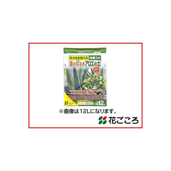 Ԃ ̂Ȃ؁EAG̓y 5L  8Zbg