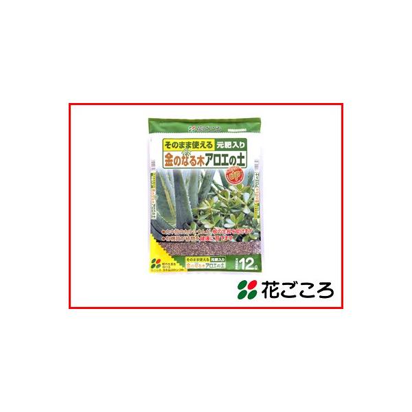 Ԃ ̂܂܎g  ̂Ȃ AG̓y 12L x 4Zbg řċzh L@z