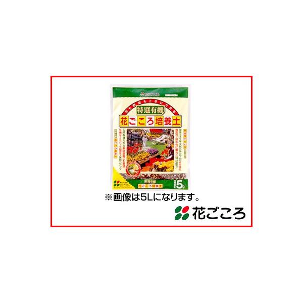 Ԃ L@Ԃ|{y 2L  20Zbg