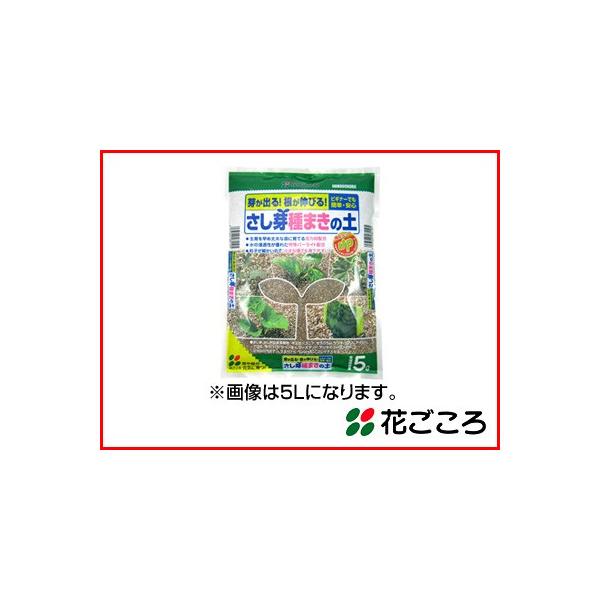 Ԃ 肪oILтI  ܂̓y 2L x 20Zbg ̐ZɗDꂽp[Cgz vȕcɈĂ銈͍ޔz