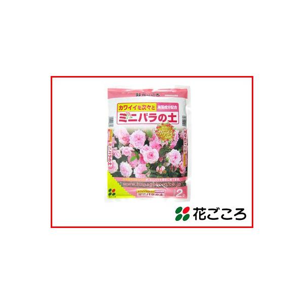 Ԃ JCCX ~jo̓y 2L x 20Zbg _ԕtǂ JLk̃JVESɈĂ܂