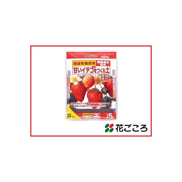 Ԃ ÂC`Sy 5L x 8Zbg ǂė{z߂t{_z 炿ǂȂăC`SÂȂ܂