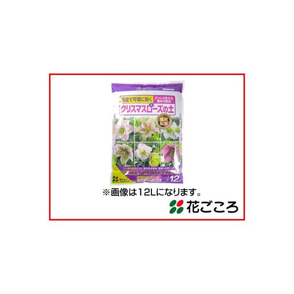 Ԃ NX}X[Y̓y 5L 8Zbg