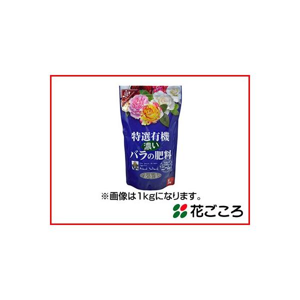 Ԃ IL@ Zo̔엿 2.5kg x 8Zbg j[z L@R100 Rhũo͔|ɂ҂ fo[