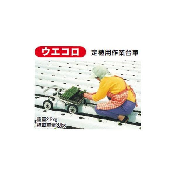 (lzs)  30kg  nbNX UK-15 EGR ApƑ (ύڏdʁF30kg)^ Ƒ _Ɨp ([J[Es) UEKORO