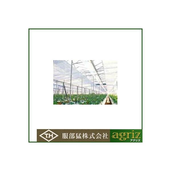 ҁi񂢁j J[ep sDz E01050L }G[X X[p[L 180cm×100m 3{