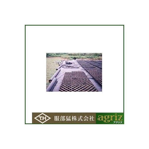 ҁi񂢁j ~p sDz  E01070BK }G[X 180cm×100m 3{