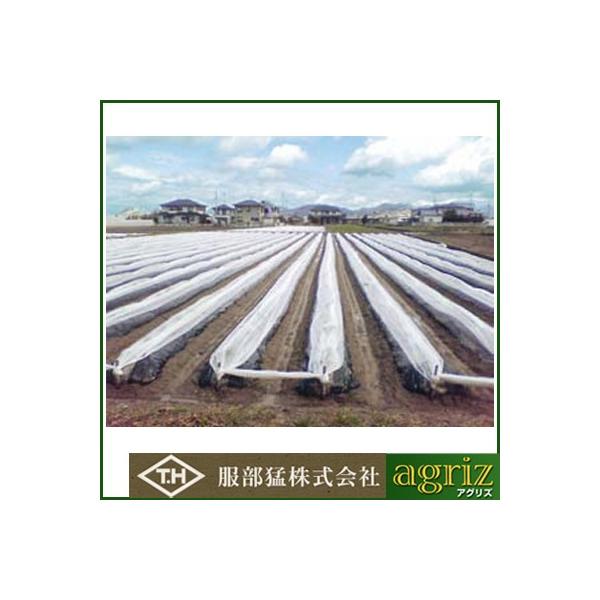 ҁi񂢁j ׂp sDz eNeNlI 210cm×200m 3{