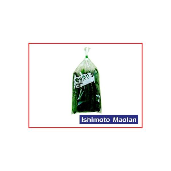 ma FG {[h tbV^O イ 20 160×340 10000×3 _Ǝ |pi ƒ؉ o׎  ؑ h
