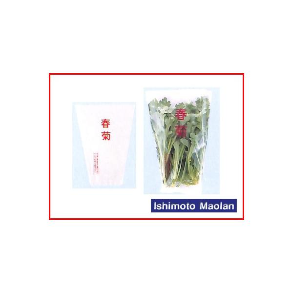 ma FG {[h te 1F 20 210×300×110Z^[V[ 8000 _Ǝ |pi ƒ؉ o׎  ؑ h