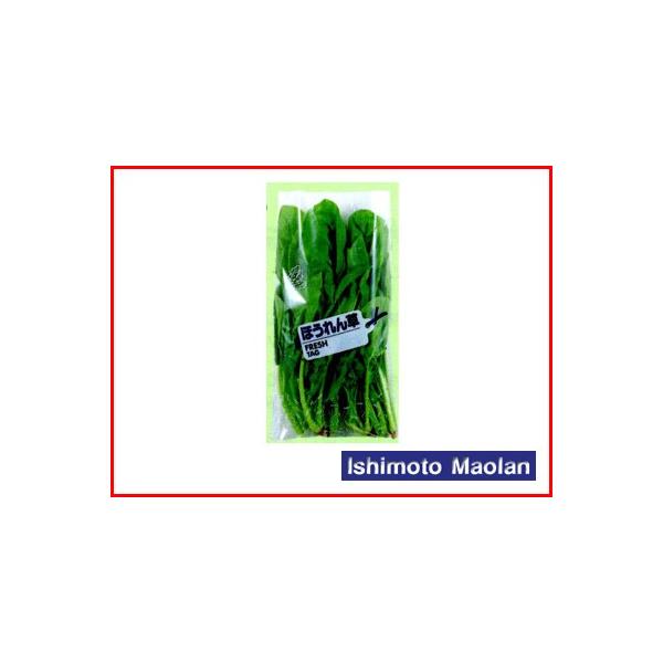 ma FG {[h tbV^O ق 20 200×350R[i[Jbg 6000×3 _Ǝ |pi ƒ؉ o׎  ؑ h