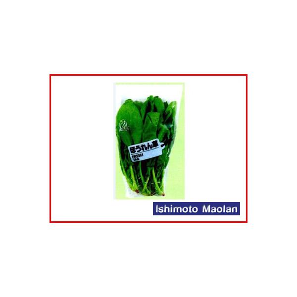 ma FG {[h tbV^O ق 20 280×300×120R[i[Jbg 8000×3 _Ǝ |pi ƒ؉ o׎  ؑ h