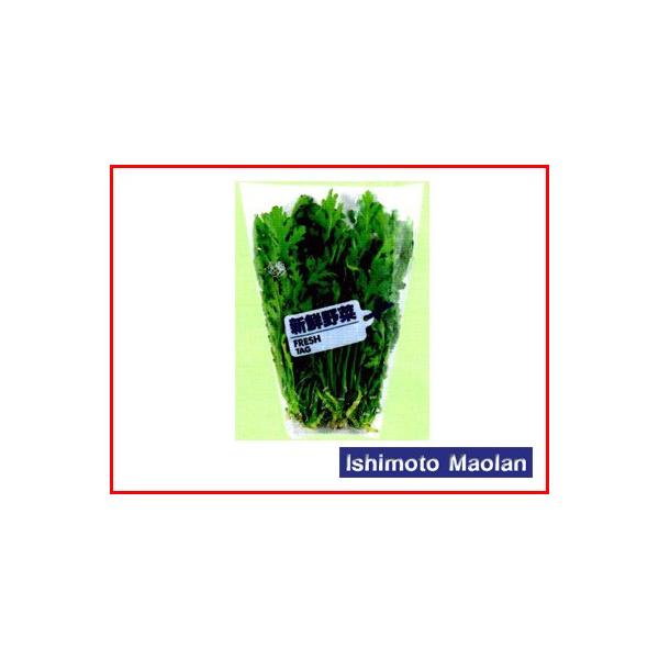 ma FG {[h zE 1F 20 280×300×120Z^[V[ 8000 _Ǝ |pi ƒ؉ o׎  ؑ h