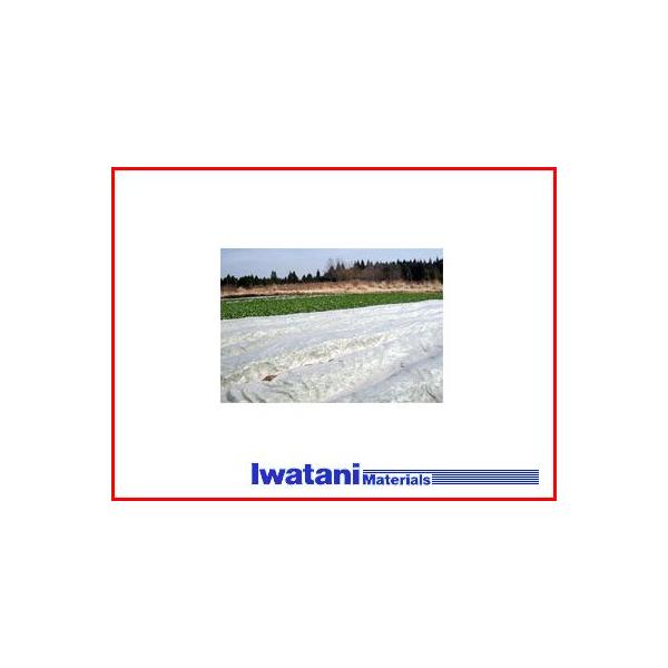 J C^j sDz NEW ACzbJ #18 240cm X 200m ۉ_ƗpsDz 瑣i h h h ׂ gl