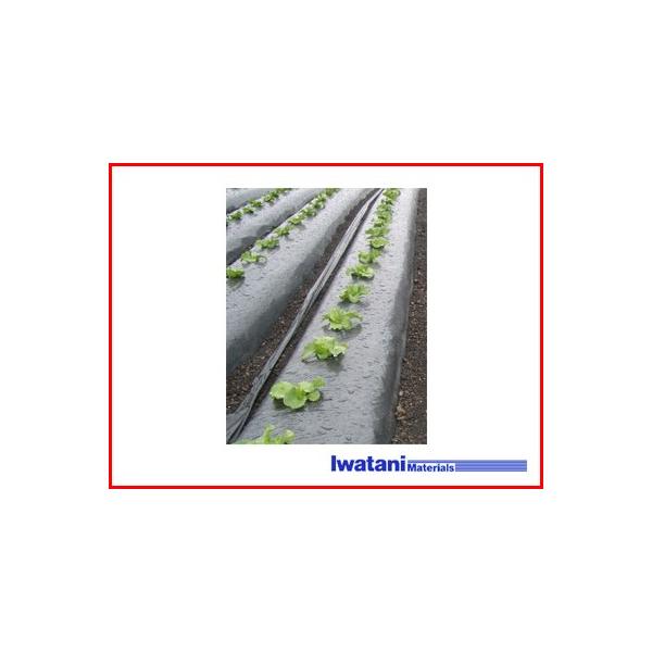 J C^j ؉p ^bN}` 0.02mm×95cm×50m _Ǝ |pi ƒ؉