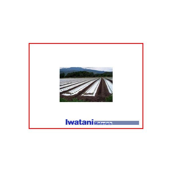 J C^j ؉p Ow hVo[}` 0.02mm X 95cm X 50m n} ƒ؉ AuV AU~E}