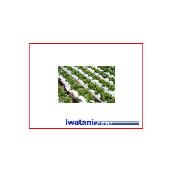 J C^j ؉p o[X}`  0.02mm X 95cm X 50m n} ƒ؉ ď͔̍|