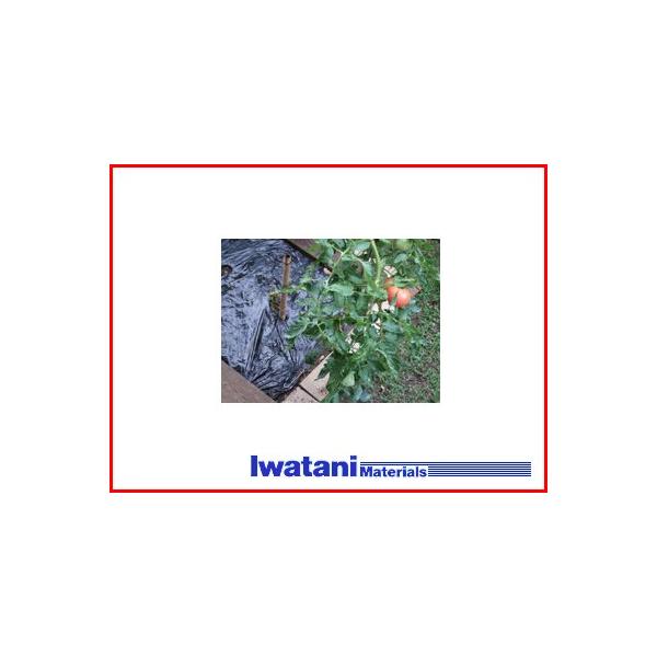 J C^j ؉p }` 0.02mm×95cm×50m _Ǝ |pi ƒ؉