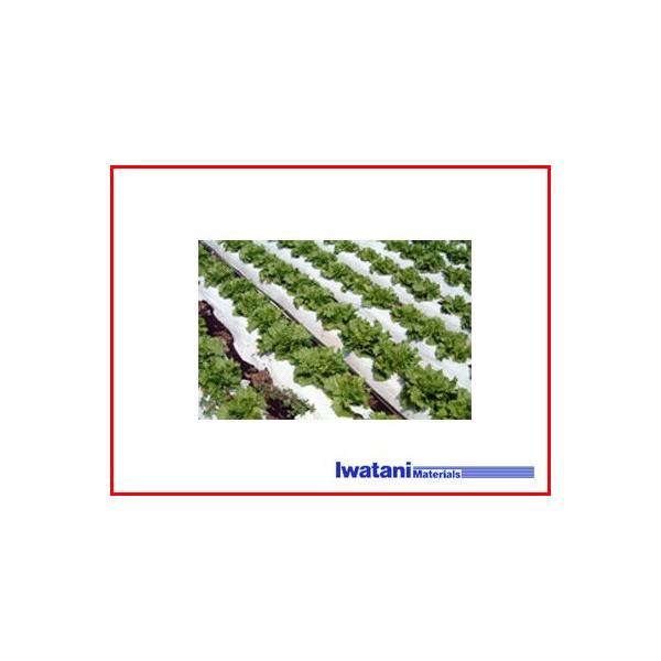 J C^j o[X}` inCzCgj 0.025mm×150cm×200m 2{