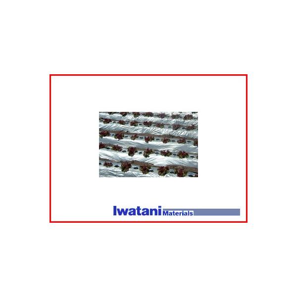 ��J �C���^�j ���o�[�X�}���` �⍕ 0.023mm×135cm×200m 3�{��