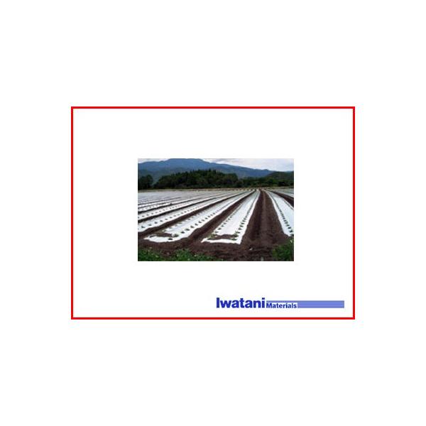 ��J �C���^�j �O�w�V���o�[�|�� �h���}���` 0.02mm×150cm×200m 3�{��