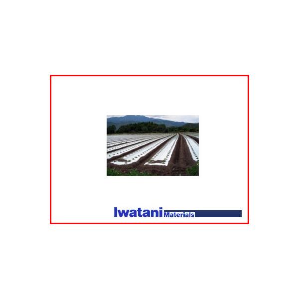 岩谷マテリアル 岩谷 イワタニ 三層シルバーポリ 防虫マルチ 0.03mm