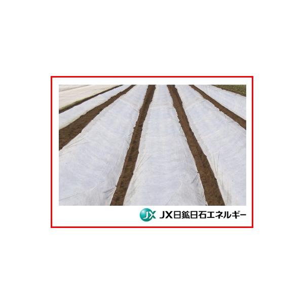 JX sDz t izj  Ռ5% h/ۉ/ʋCp 2.7m X 100m 3 270cm (s)