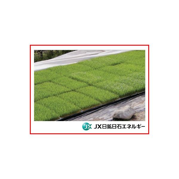 JX sDz t izj ؂ c~p 1.4m X 50m 10{ 140cm (s)