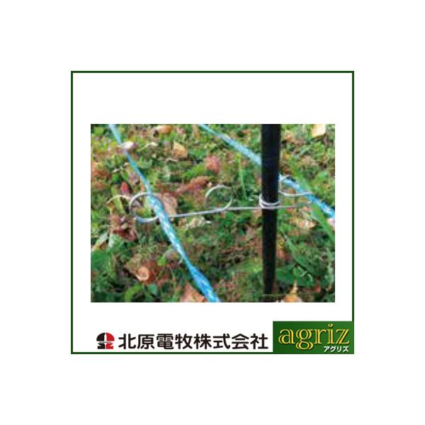 ̃AO dC KCV tbN 3DNbv 38^ 38mm 50