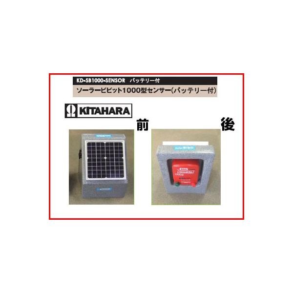 i󒍐Yj ̃AOikdqj dC { \[[rrbg 1000^ ZT[tiobe[tj speedrite 1000S iSTAFIX X1Sj