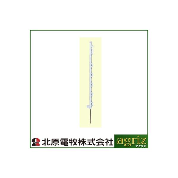 ̃AOikdqj dC KCVtx NN|[ 750 7i i50{j KD-WHI-POLE750