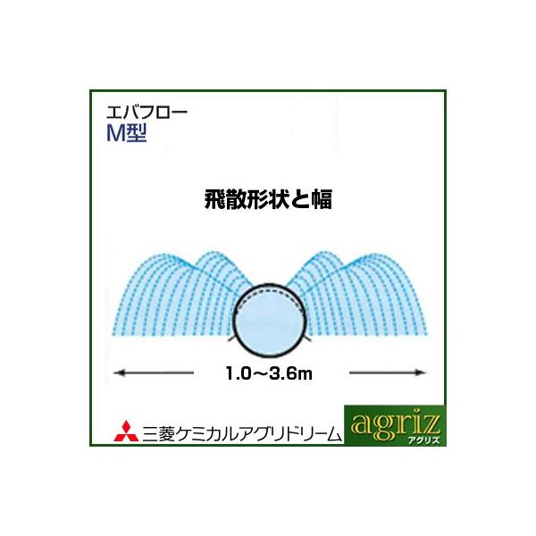 `[u Got[ `[u OHP~JAOh[ Got[ M^ 100m `[u 󐅃`[u