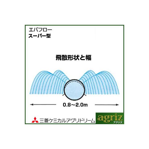 `[u Got[ `[u OHP~JAOh[ Got[ X[p[^ 100m `[u 󐅃`[u