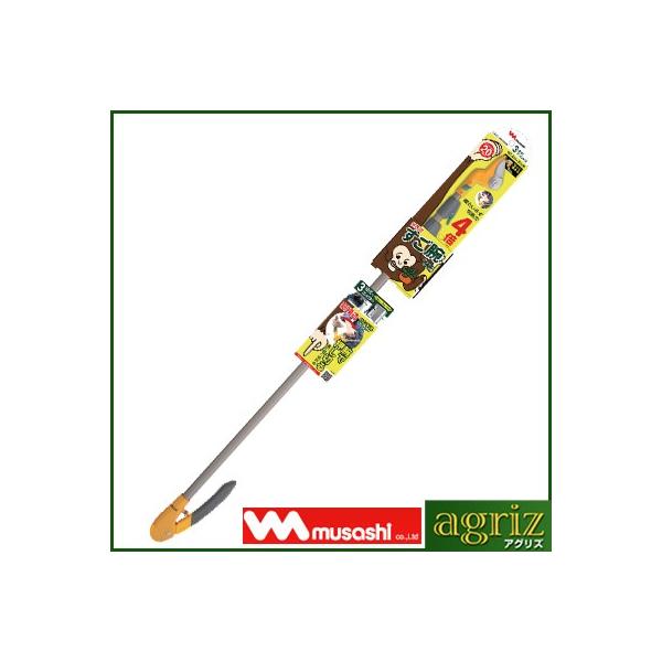 TV rvbVJbg 3iArn No.531