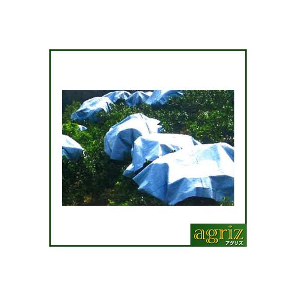 {ChNX JLcEʃV[g 10 3m X 3m BW2415 o[Vu ݂ k 㕔 ʑi