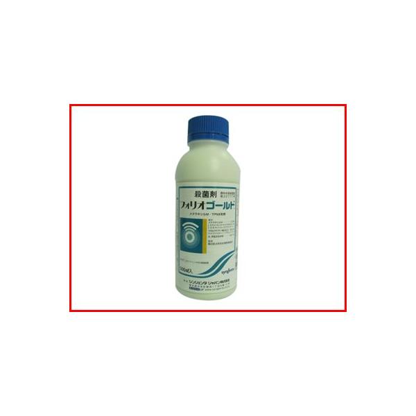 (_)tHIS[h 500cc(|p Eۍ)